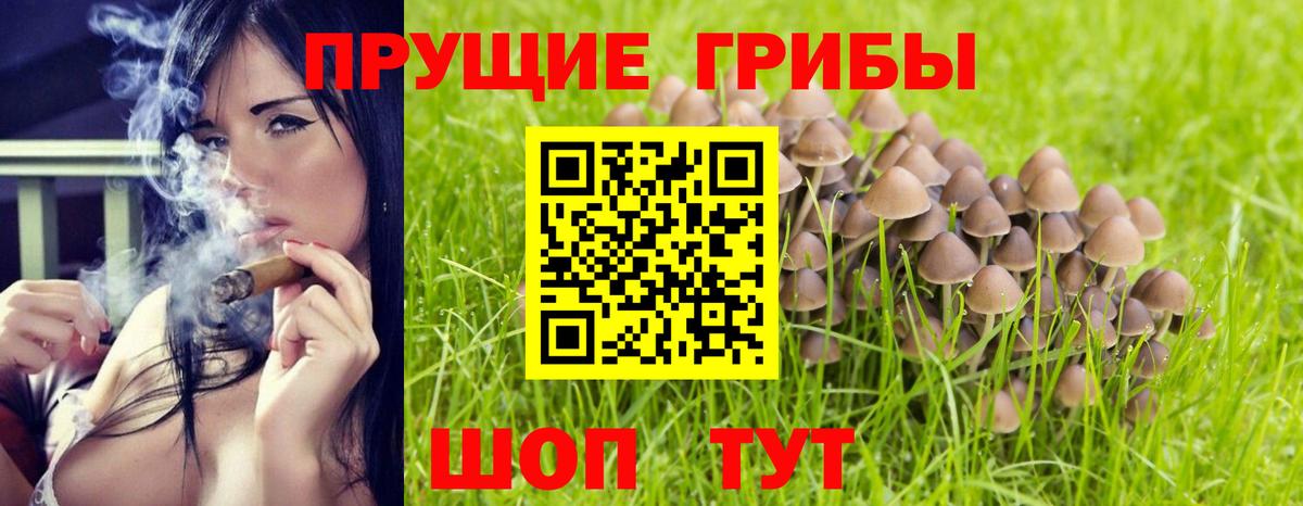 Галлюциногенные грибы ЛСД  Вход с VPN  Куйбышев 