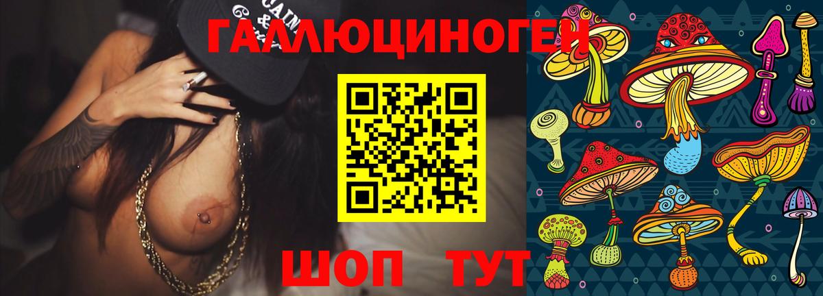 Галлюциногенные грибы Cubensis Куйбышев